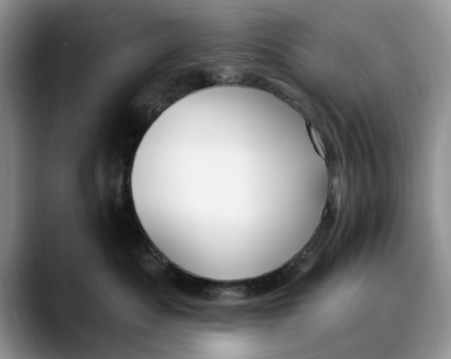 X0000089900525200707192035