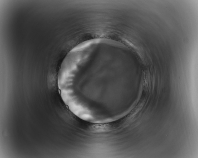 X0000089900526200707192035