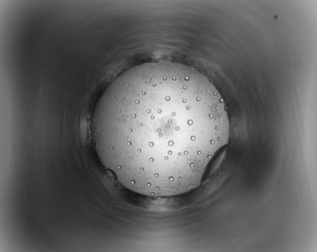 X0000089900527200707192035