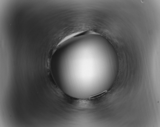 X0000089900528200707192035