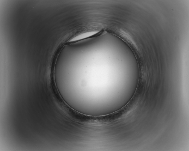 X0000089900538200707192034