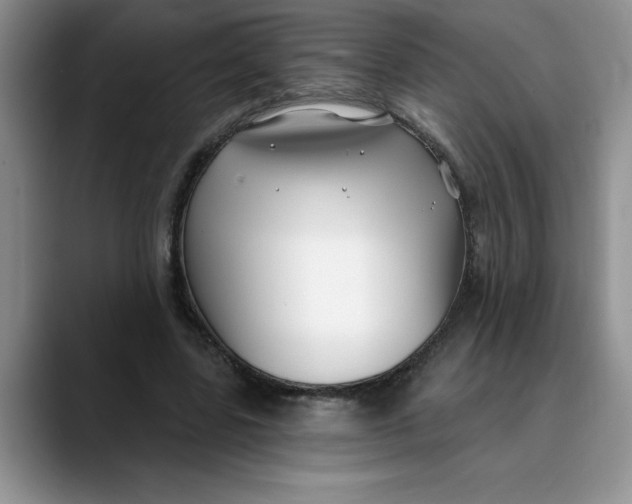 X0000089900539200707192034
