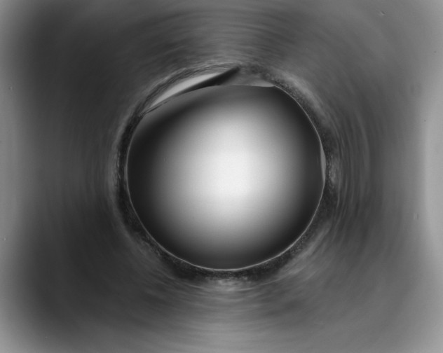 X0000089900540200707192034