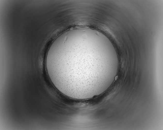 X0000089900542200707192034