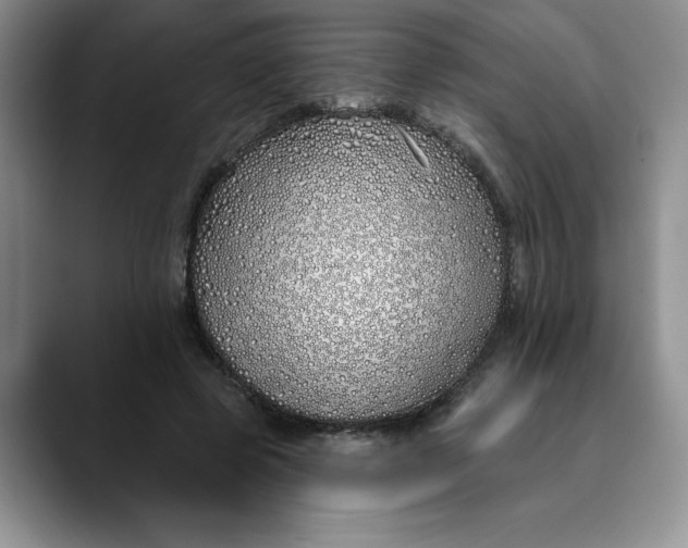 X0000089900545200707192034
