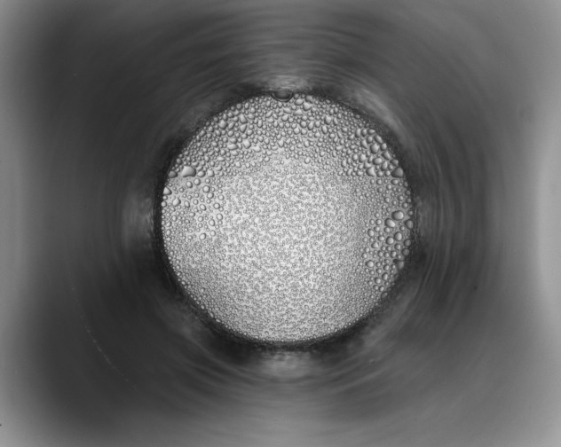 X0000089900549200707192034