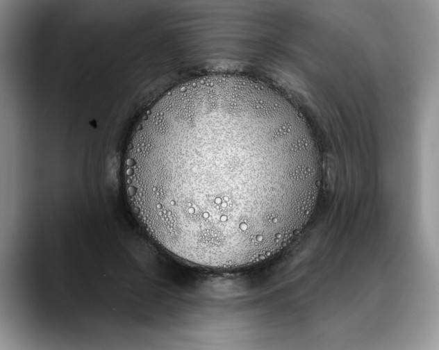 X0000089900550200707192034