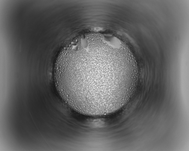 X0000089900553200707192035