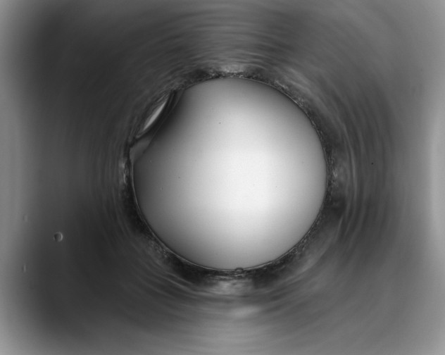 X0000089900555200707192035