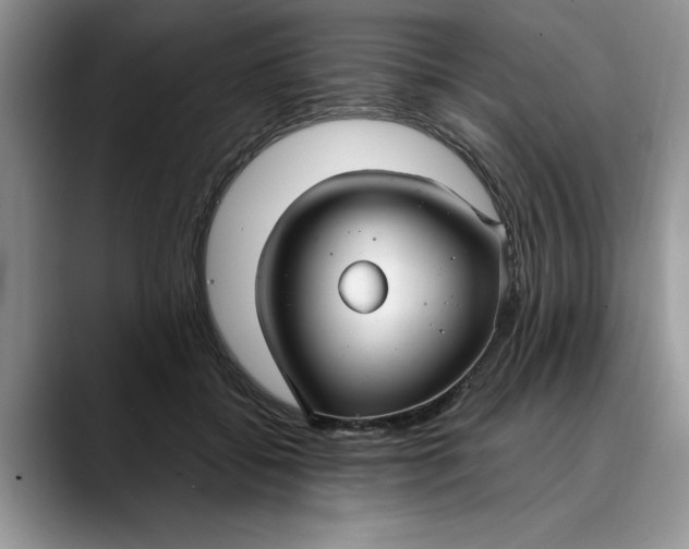 X0000089900556200707192035