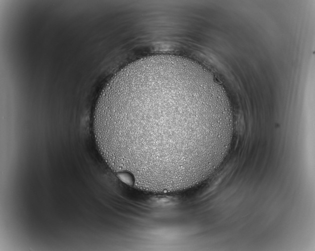 X0000089900557200707192035