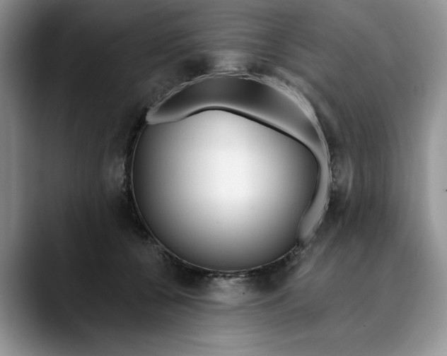 X0000089900560200707192035