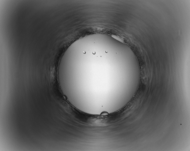 X0000089900563200707192035