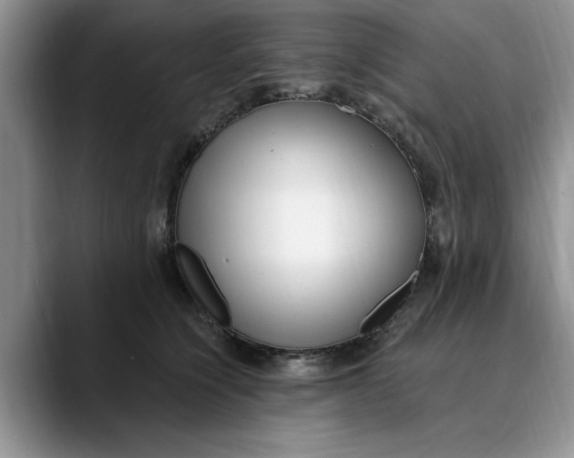X0000089900564200707192035