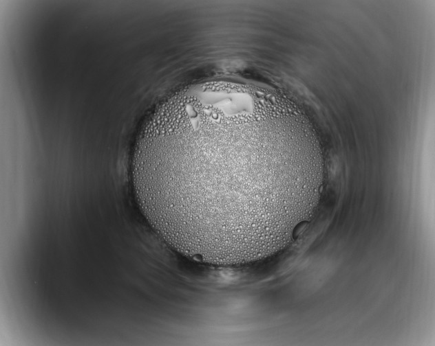 X0000089900565200707192035