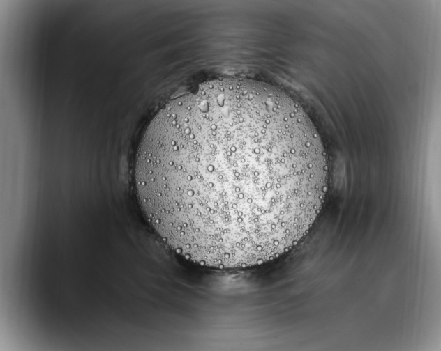 X0000089900569200707192035