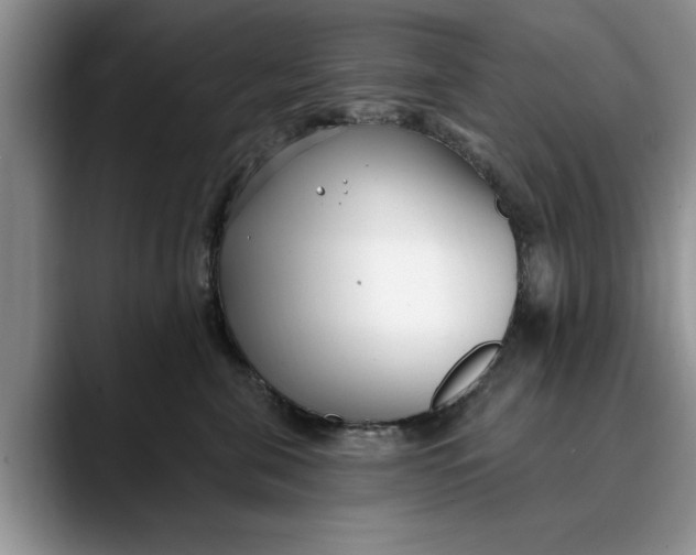 X0000089900571200707192035