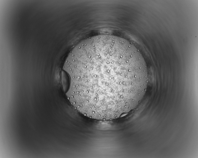 X0000089900573200707192035