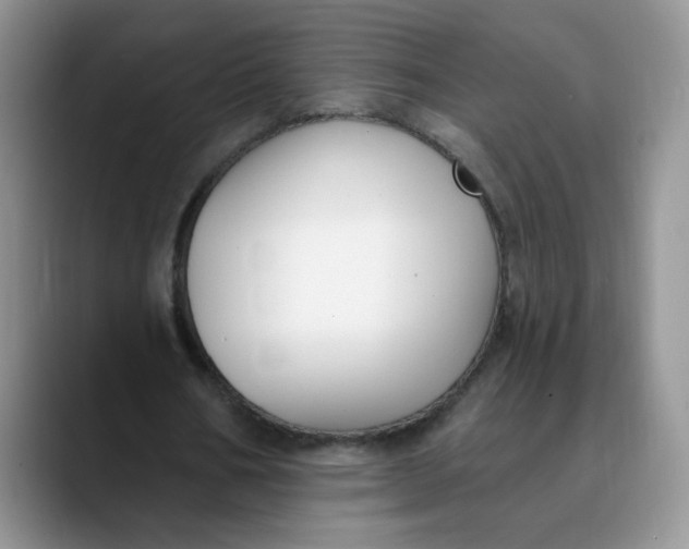 X0000089900578200707192034