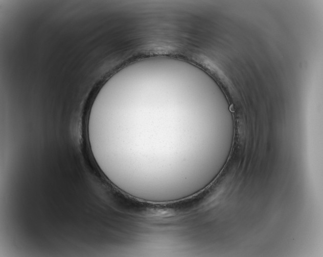X0000089900582200707192034