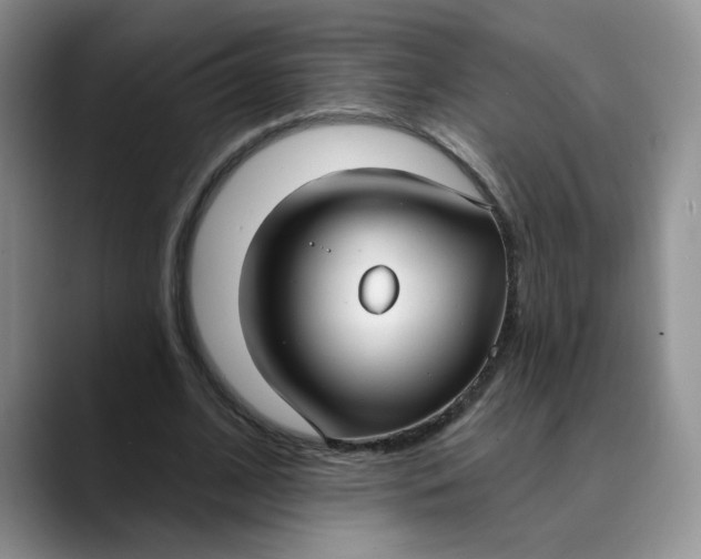 X0000089900584200707192034