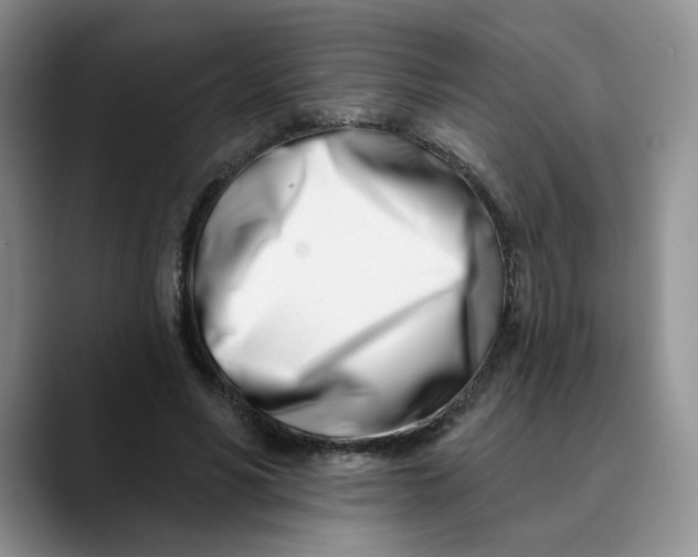 X0000089900590200707192034