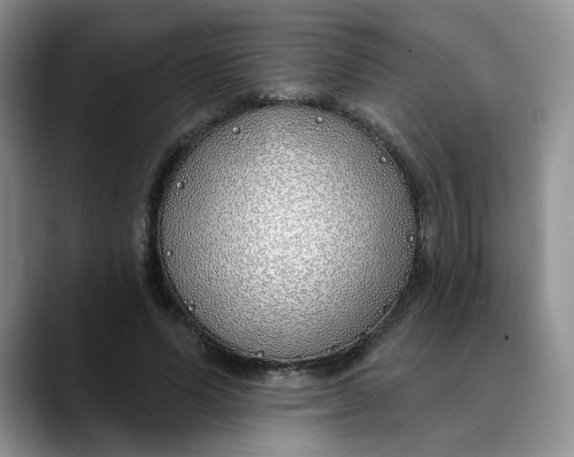 X0000089900591200707192034