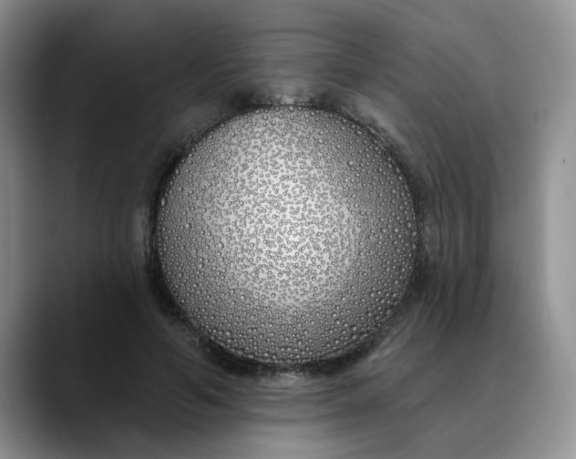 X0000089900594200707192034