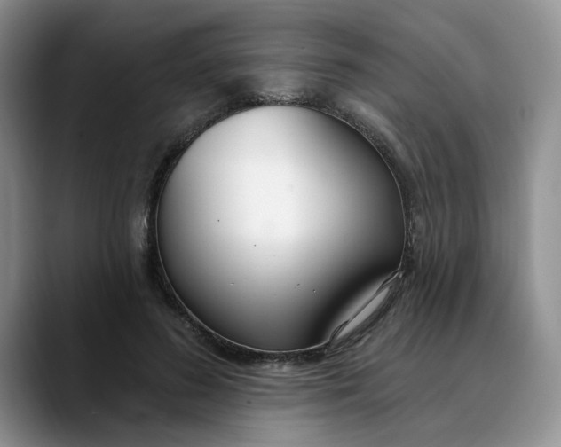 X0000089900596200707192034