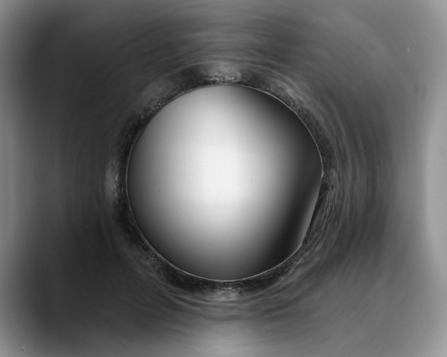 X0000089900600200707192034