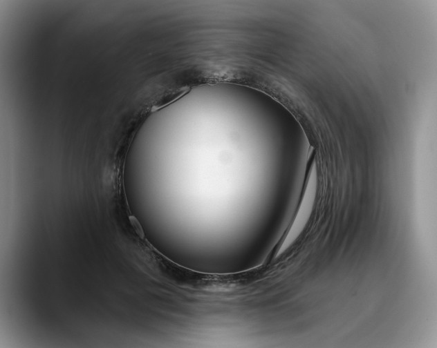 X0000089900601200707192034