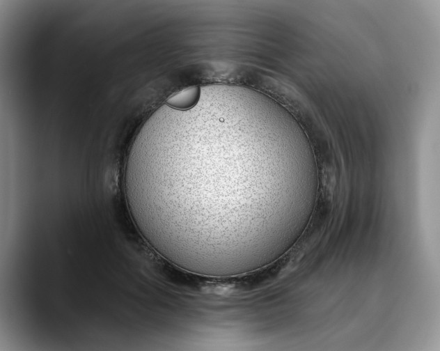 X0000089900602200707192034