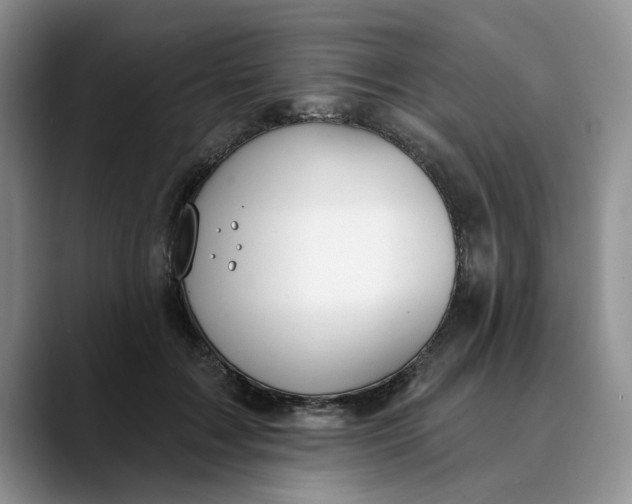 X0000089900603200707192034