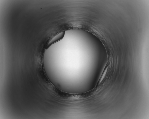 X0000089900609200707192034