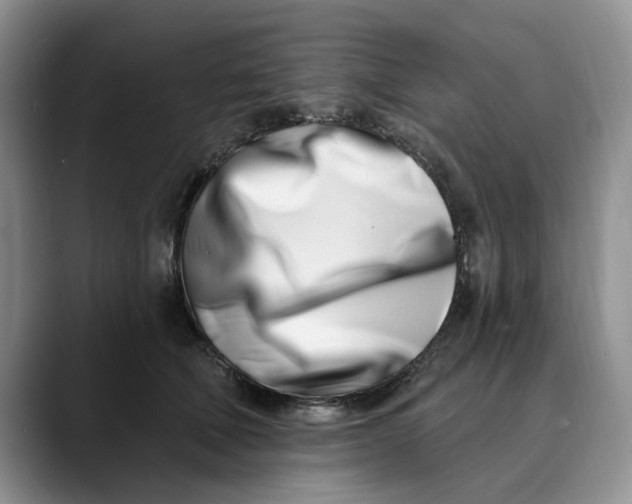 X0000089900610200707192034