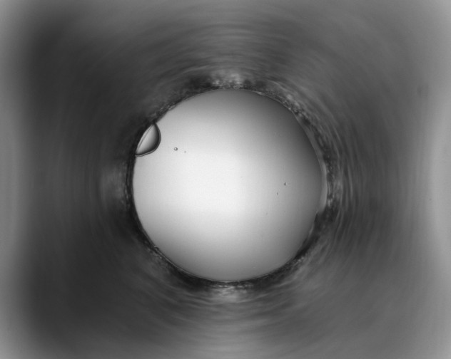 X0000089900616200707192034