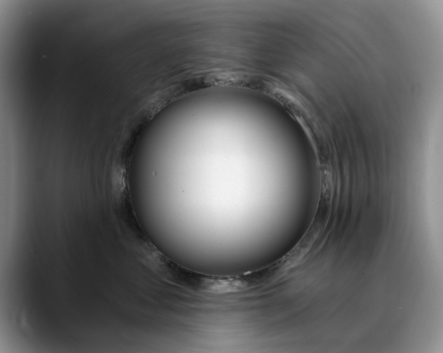 X0000089900621200707192034