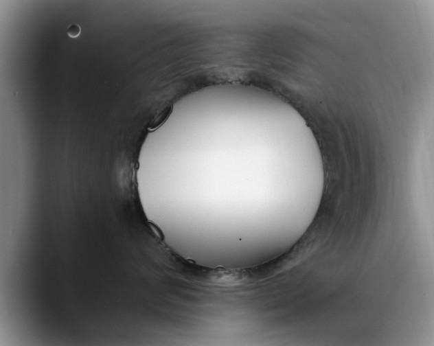 X0000089900624200707192034