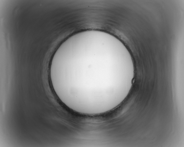 X0000089900625200707192033