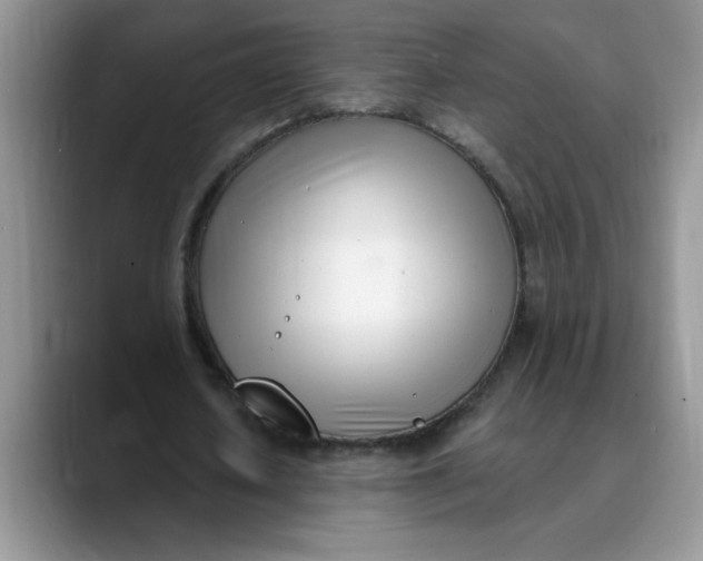 X0000089900626200707192033