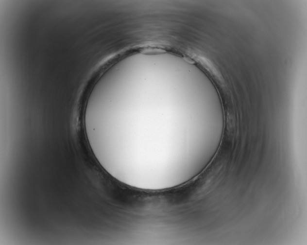 X0000089900628200707192033