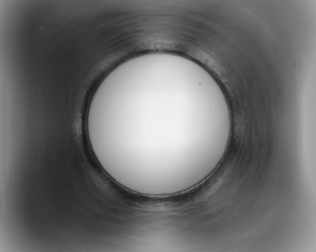 X0000089900629200707192033