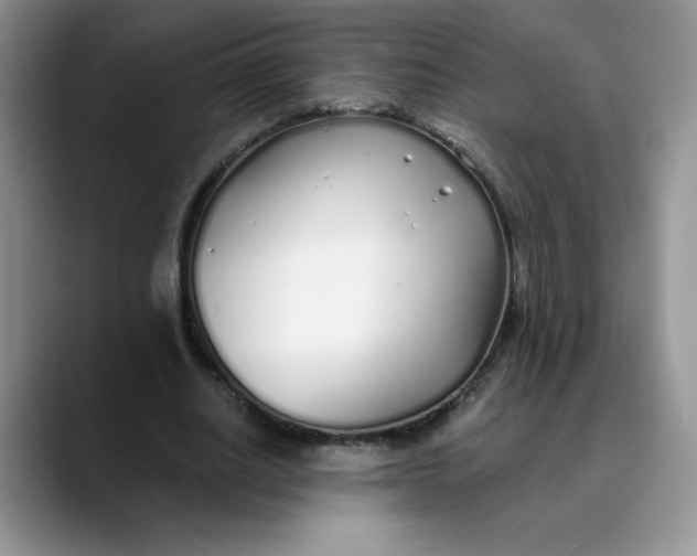 X0000089900630200707192033