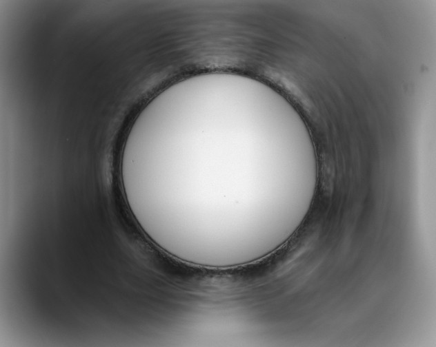 X0000089900631200707192033