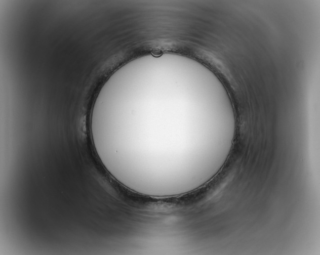 X0000089900633200707192033