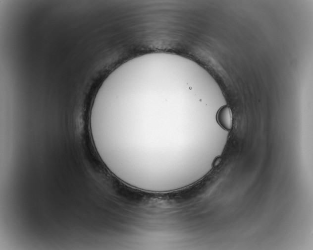 X0000089900635200707192033