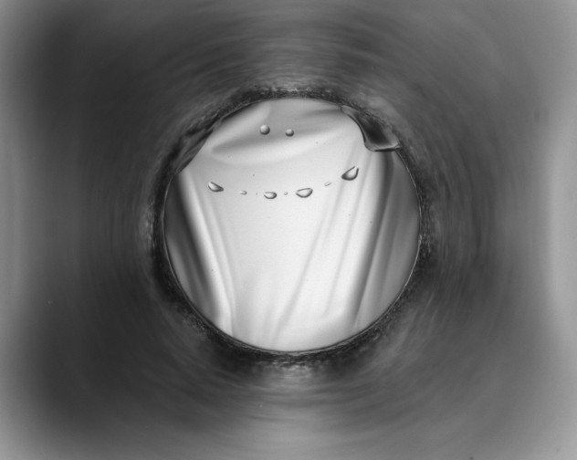 X0000089900640200707192033