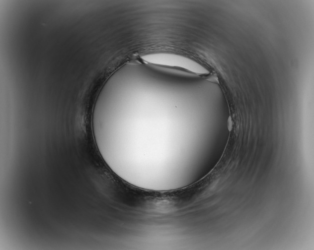 X0000089900643200707192033