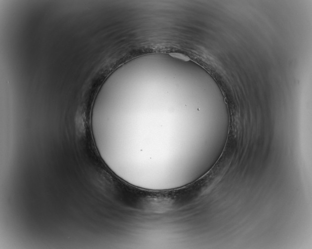 X0000089900644200707192033