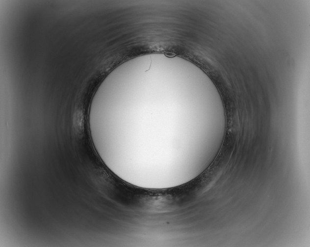 X0000089900646200707192033